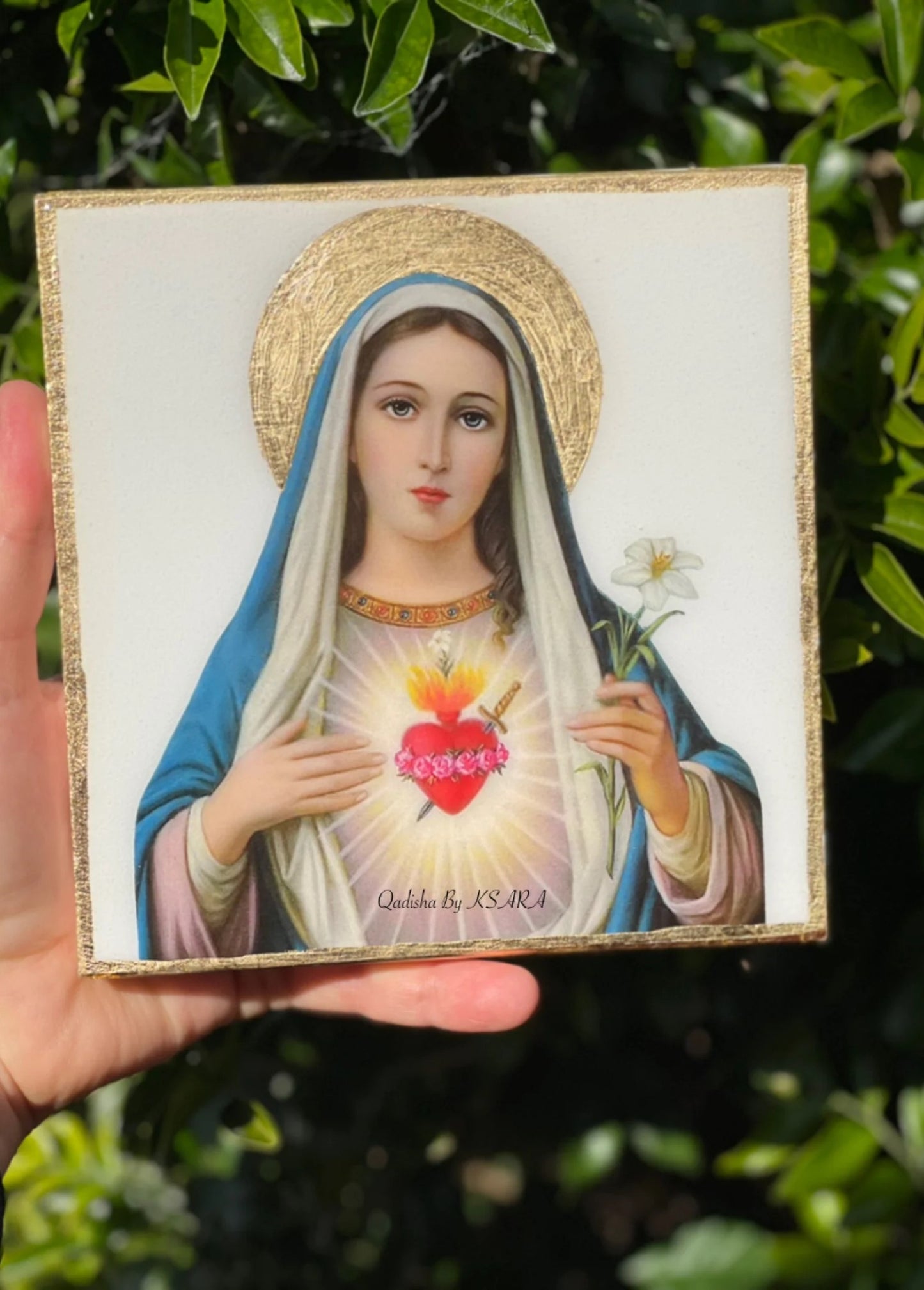 Immaculate Heart of Mary