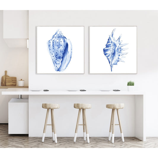 S/2 Blue Conch Framed